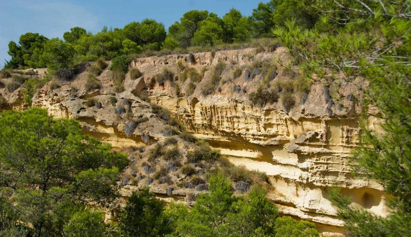 Pinar De CampoverdeMedvilla Spanje