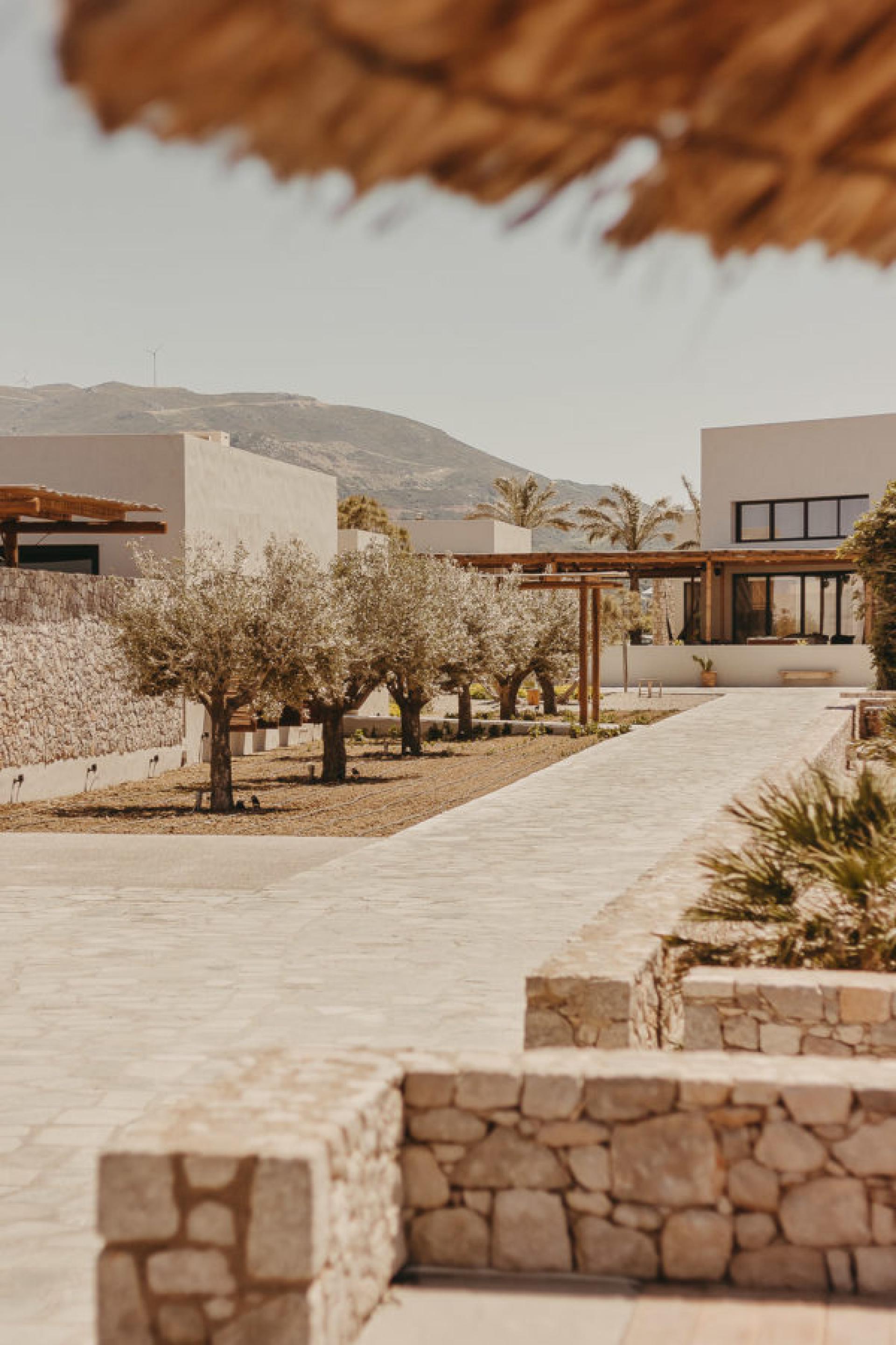 Uw eigen villa midden in wijngaard nabij Yecla in Medvilla Spanje